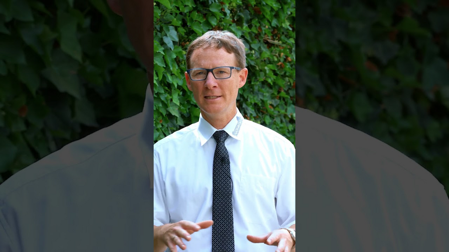 Was ist eine Baumbestattung - Social Media Video 2024